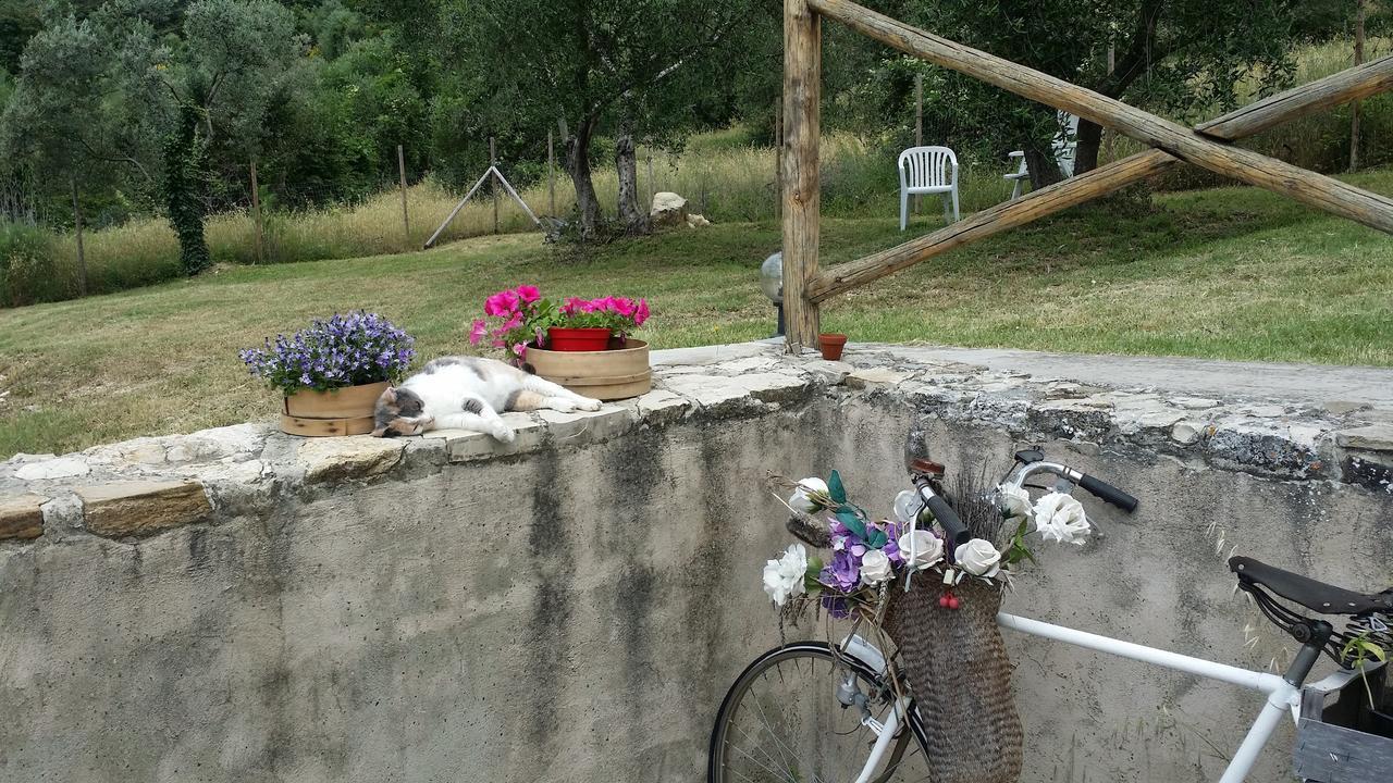 B&B Le Torri Di Firenze Fiesole Eksteriør bilde