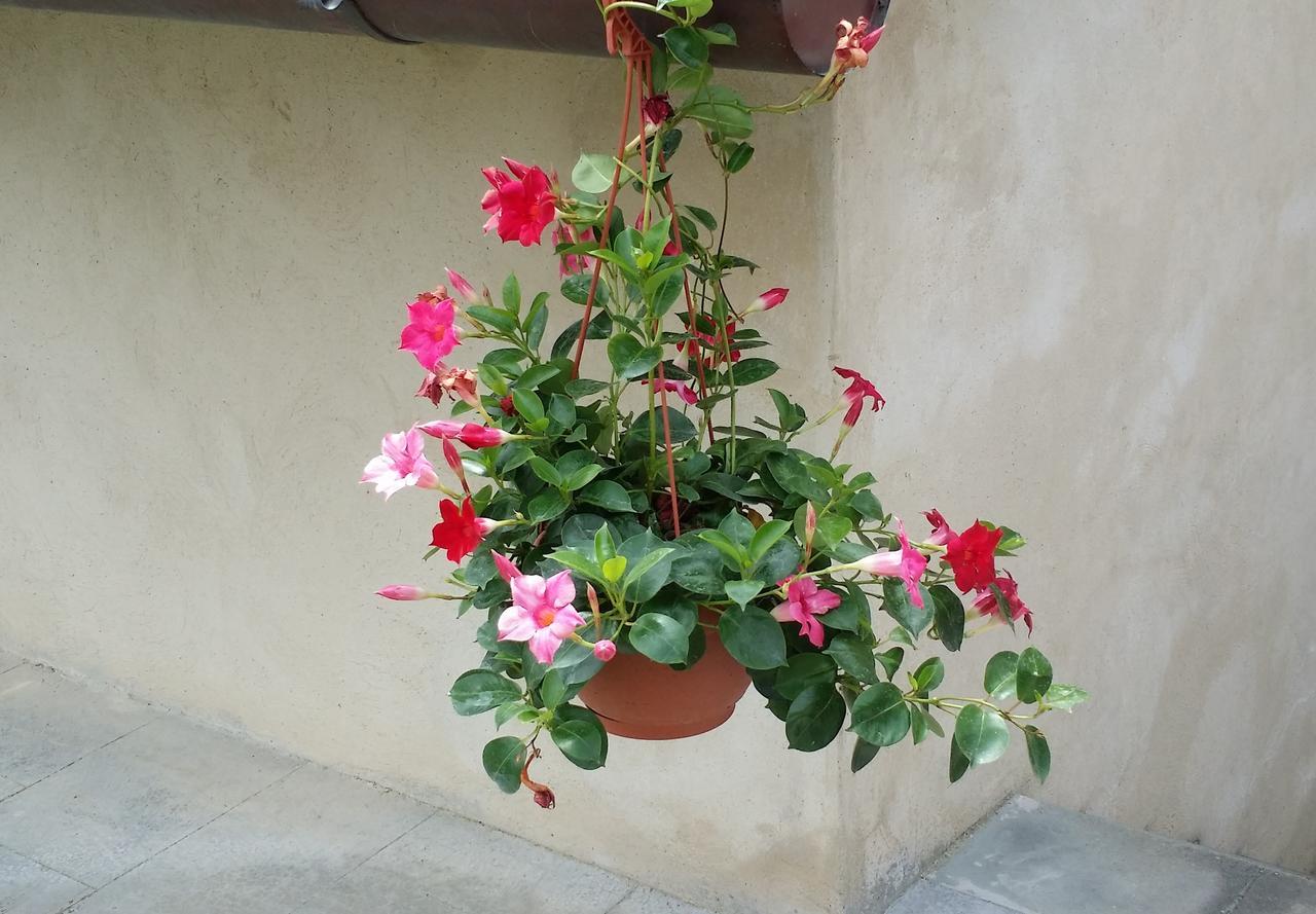 B&B Le Torri Di Firenze Fiesole Eksteriør bilde