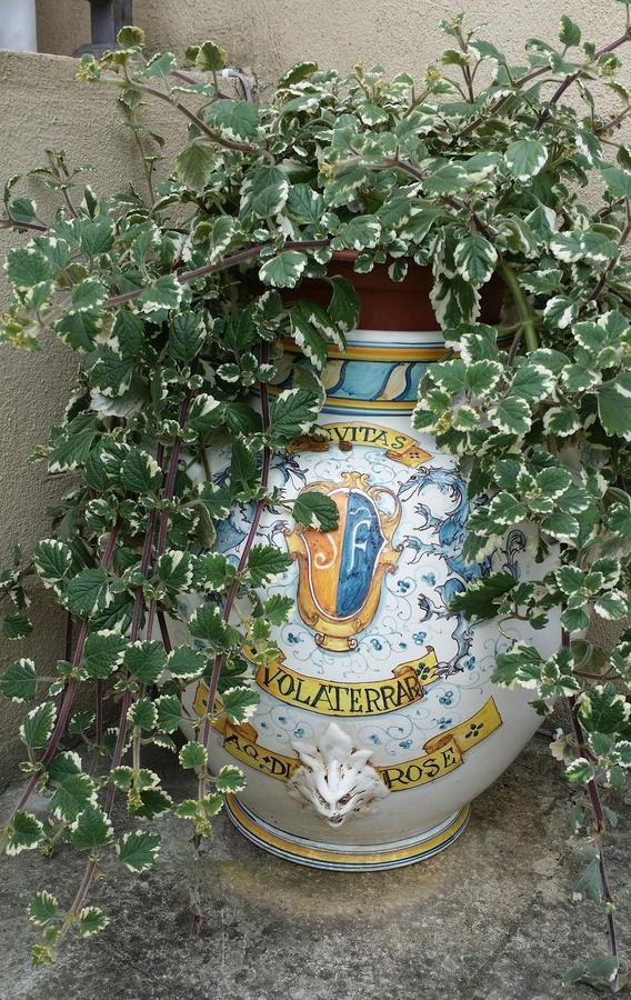 B&B Le Torri Di Firenze Fiesole Eksteriør bilde